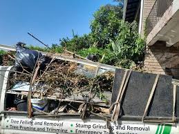 Best Same-Day Junk Removal Services in Wagner, SD